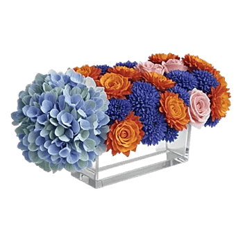 Sapphire Bloom Whisper