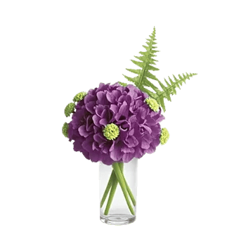 Ivory Blossom Radiance