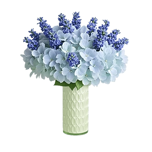 Azure Sky Blooms