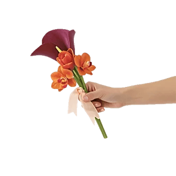 Elegant Calla Lilies