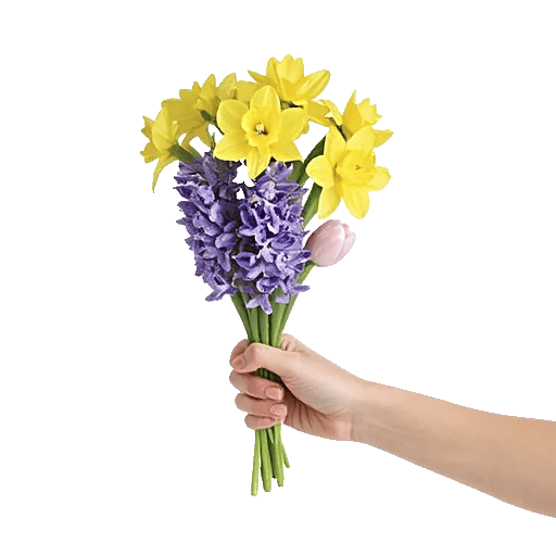 Blossom Harmony Display