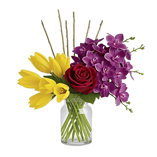 Velvet Tulip Display