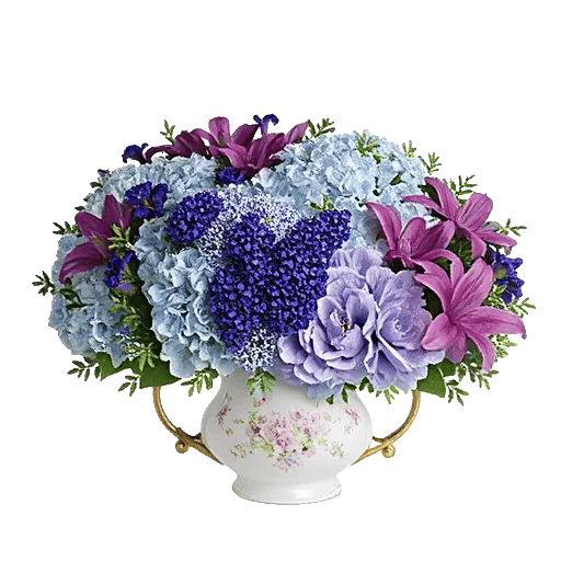 Sapphire Bloom Whisper