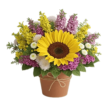 Amber Sunflower Glow