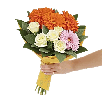 Vibrant Orange Delight