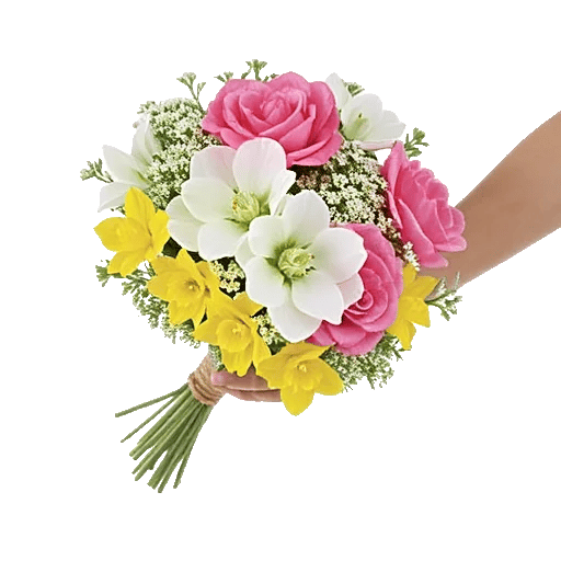 Blossom Harmony Display