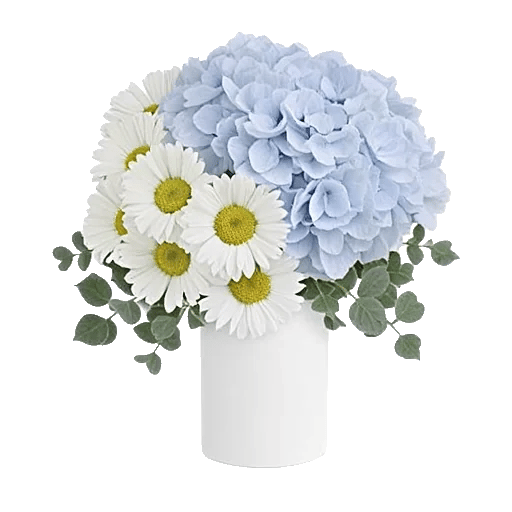 Ivory Blossom Radiance