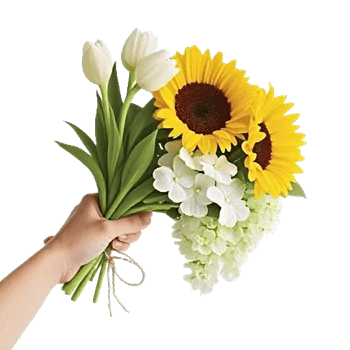 Blossom Harmony Display