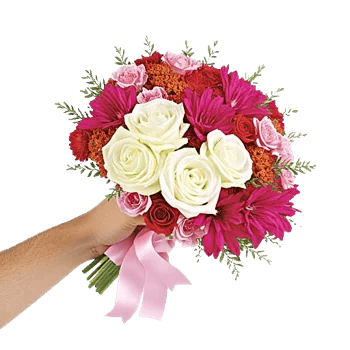 Blushing Rose Symphony