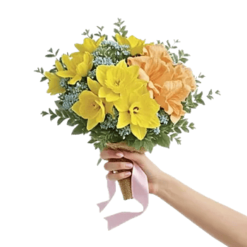 Blossom Harmony Display