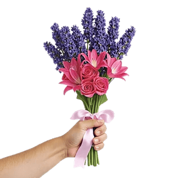 Lavender Bloom Grace