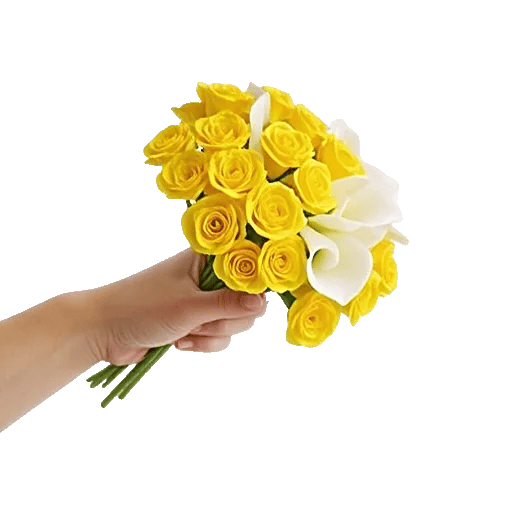 Elegant Calla Lilies