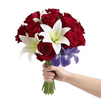 Blushing Rose Symphony