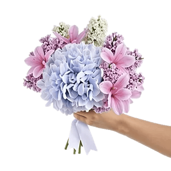 Serene Petal Harmony