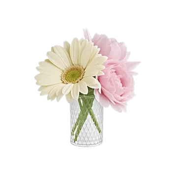 Petal Radiance Bliss