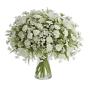 Ivory Blossom Radiance