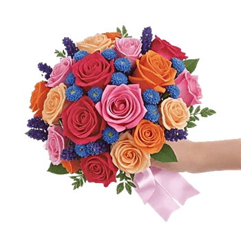 Pastel Pink Roses