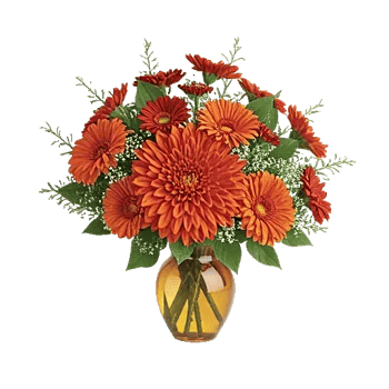 Radiant Bloom Cascade