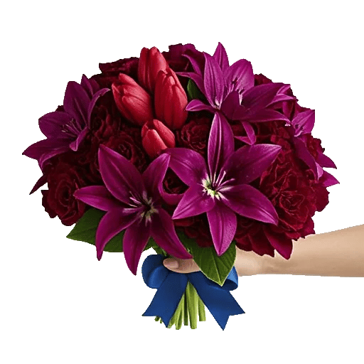 Scarlet Tulip Splendor