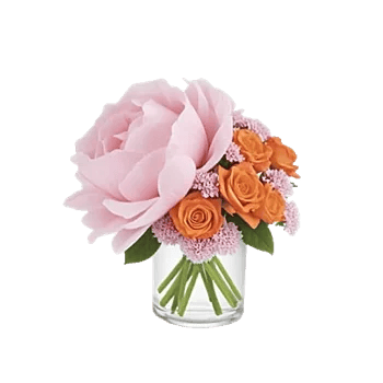 Petal Radiance Bliss