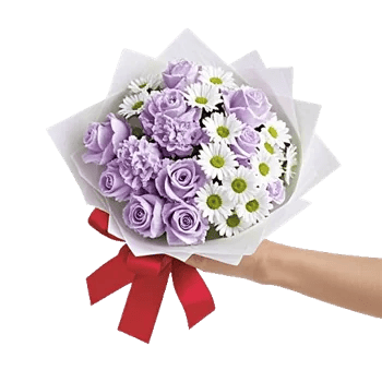 Blossom Petal Serenity