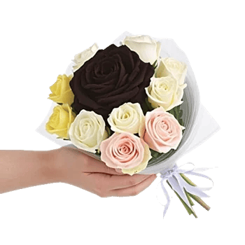 Crimson Rose Elegance