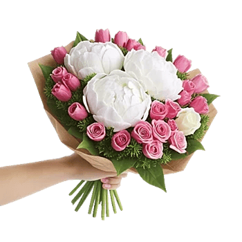 Peony Petal Harmony