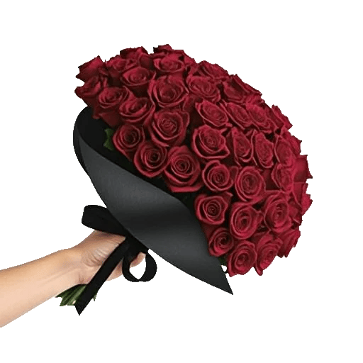 Crimson Rose Elegance