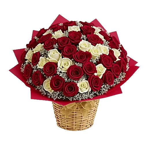 Crimson Rose Elegance