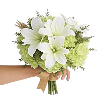 Ivory Garden Grace