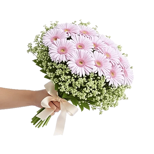 Blossom Harmony Display