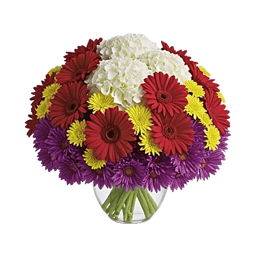 Petal Radiance Bliss