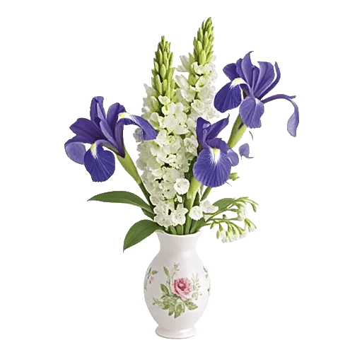 Ivory Blossom Radiance