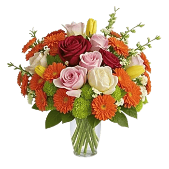 Petal Radiance Bliss