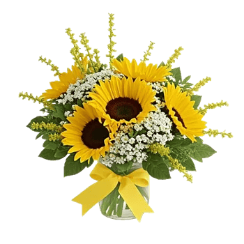Bright Cheerful Sunflowers