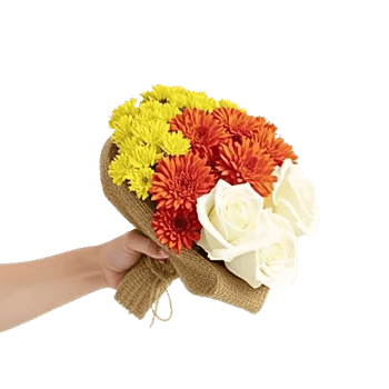 Blossom Harmony Display
