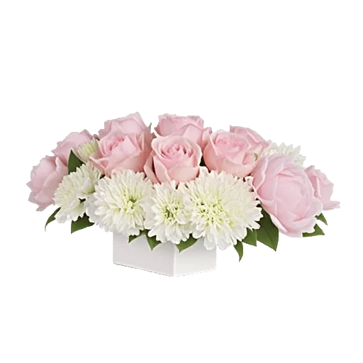 Delicate Petal Cascade