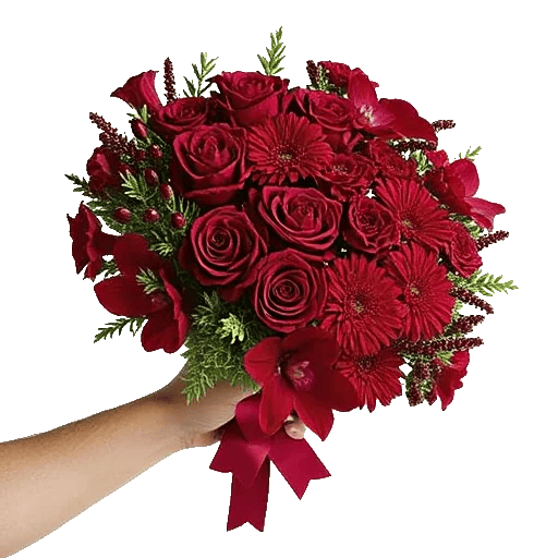 Crimson Rose Elegance