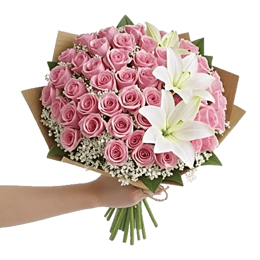 Blushing Rose Symphony