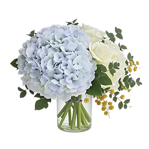 Serene Petal Harmony