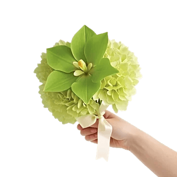 Emerald Bloom Cascade