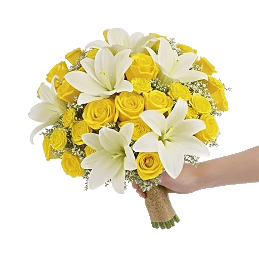 Blossom Harmony Display