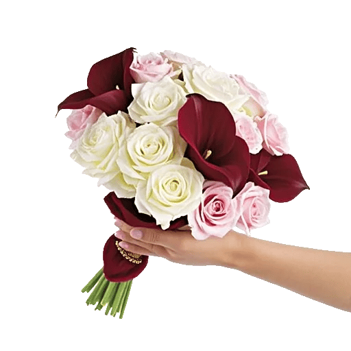 Elegant Calla Lilies