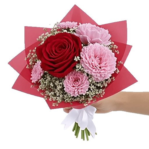 Crimson Rose Elegance