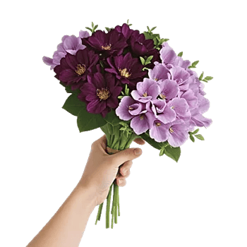 Petal Softness Display