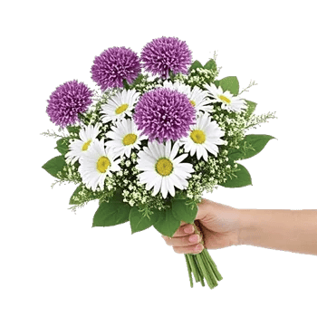 Blossom Harmony Display