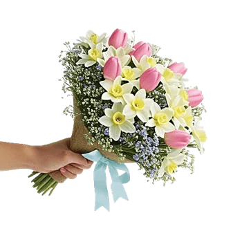 Blossom Harmony Display