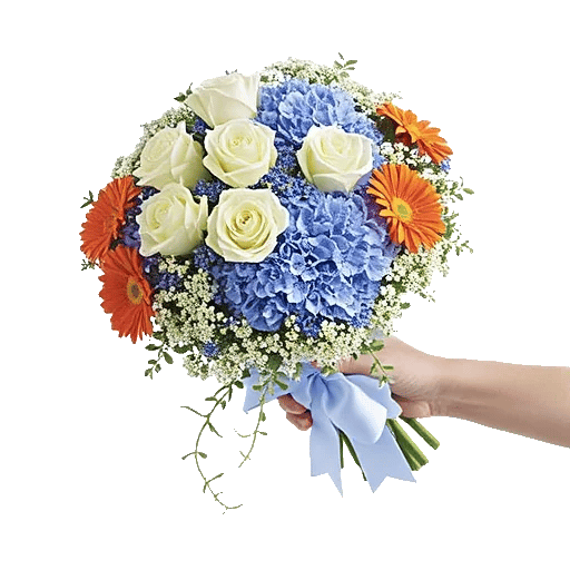 Serene Petal Harmony