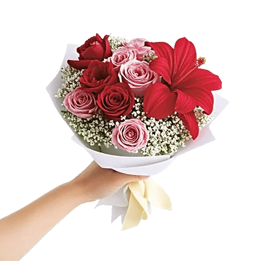 Scarlet Tulip Splendor