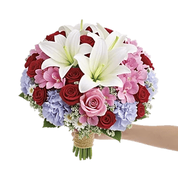 Blossom Harmony Display